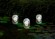 Floating Glass Lights комплект плавающих шаров